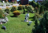 Galeria Konkurs „Mój ogród kwiatowy” w 2008 roku - nagrodzone ogrody