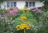 Galeria Konkurs „Mój ogród kwiatowy” w 2008 roku - nagrodzone ogrody