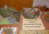 Galeria Podsumowanie projektu „Odnajdźmy siebie, by nie wstydzić się, skąd jesteśmy”