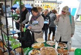 Galeria LGD Gorce–Pieniny podczas Festiwalu Funduszy Europejskich w Nowym Targu
